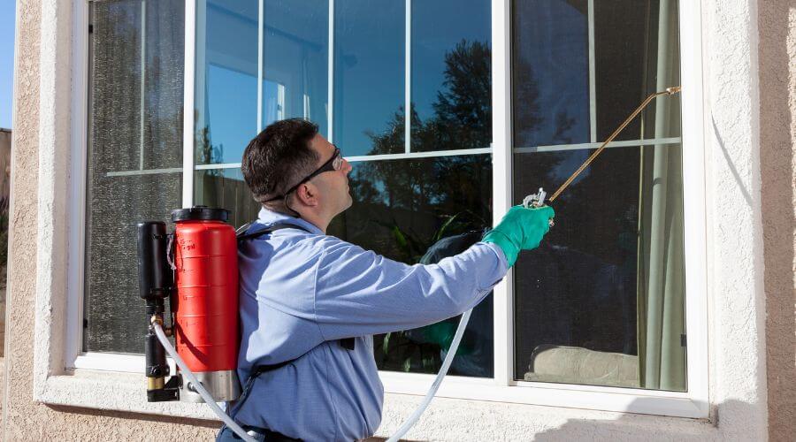 Professional pest control services in Napa